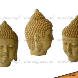 głowa Buddy