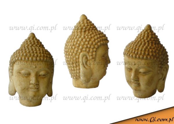 głowa Buddy